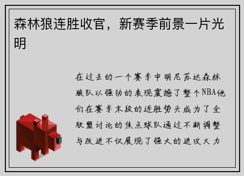 森林狼连胜收官，新赛季前景一片光明